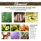 Natural Rosemary Hair Growth Oil Scalp Nourishing Serum