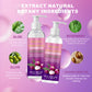 Onion Biotin Rosemary Shampoo Conditioner Set