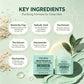Tea Tree Clay Mask Pore Purifying Oil Control